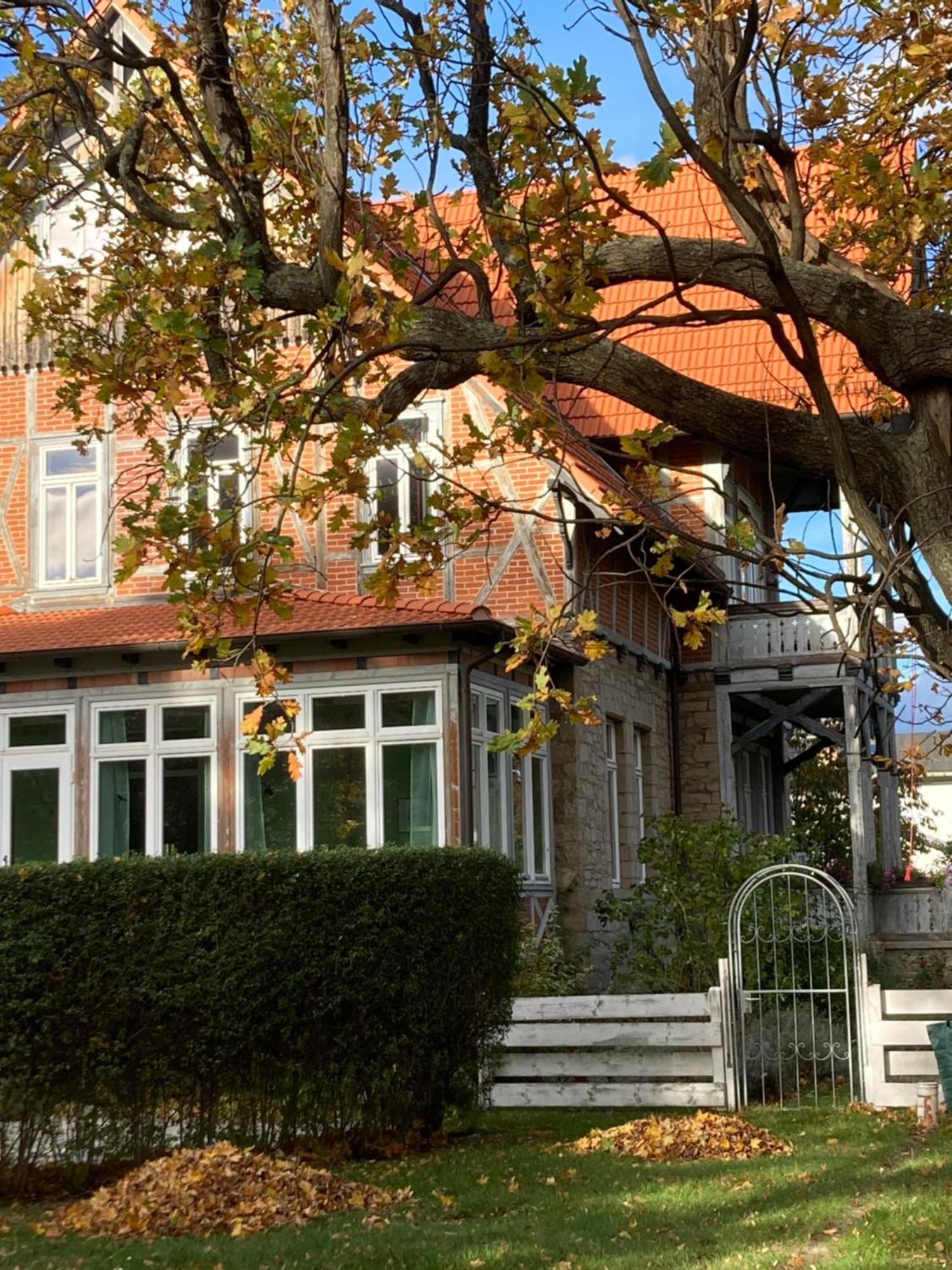 Gaestehaus Musestieg ثال المظهر الخارجي الصورة